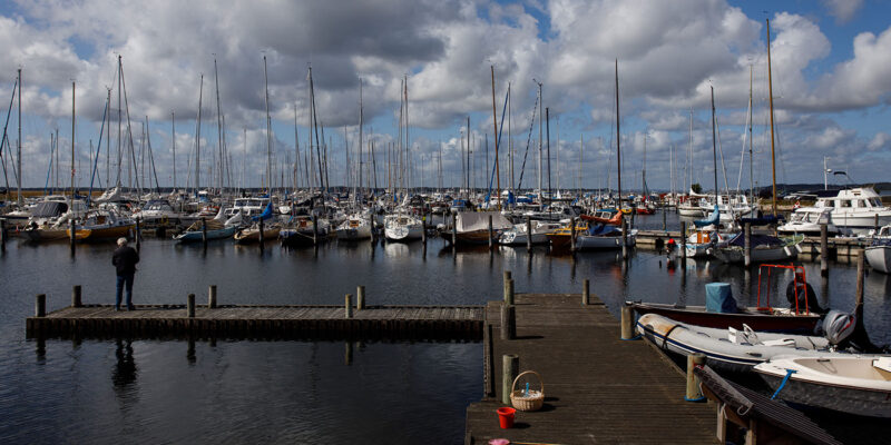 Bovieran kommer til Frederiksværk